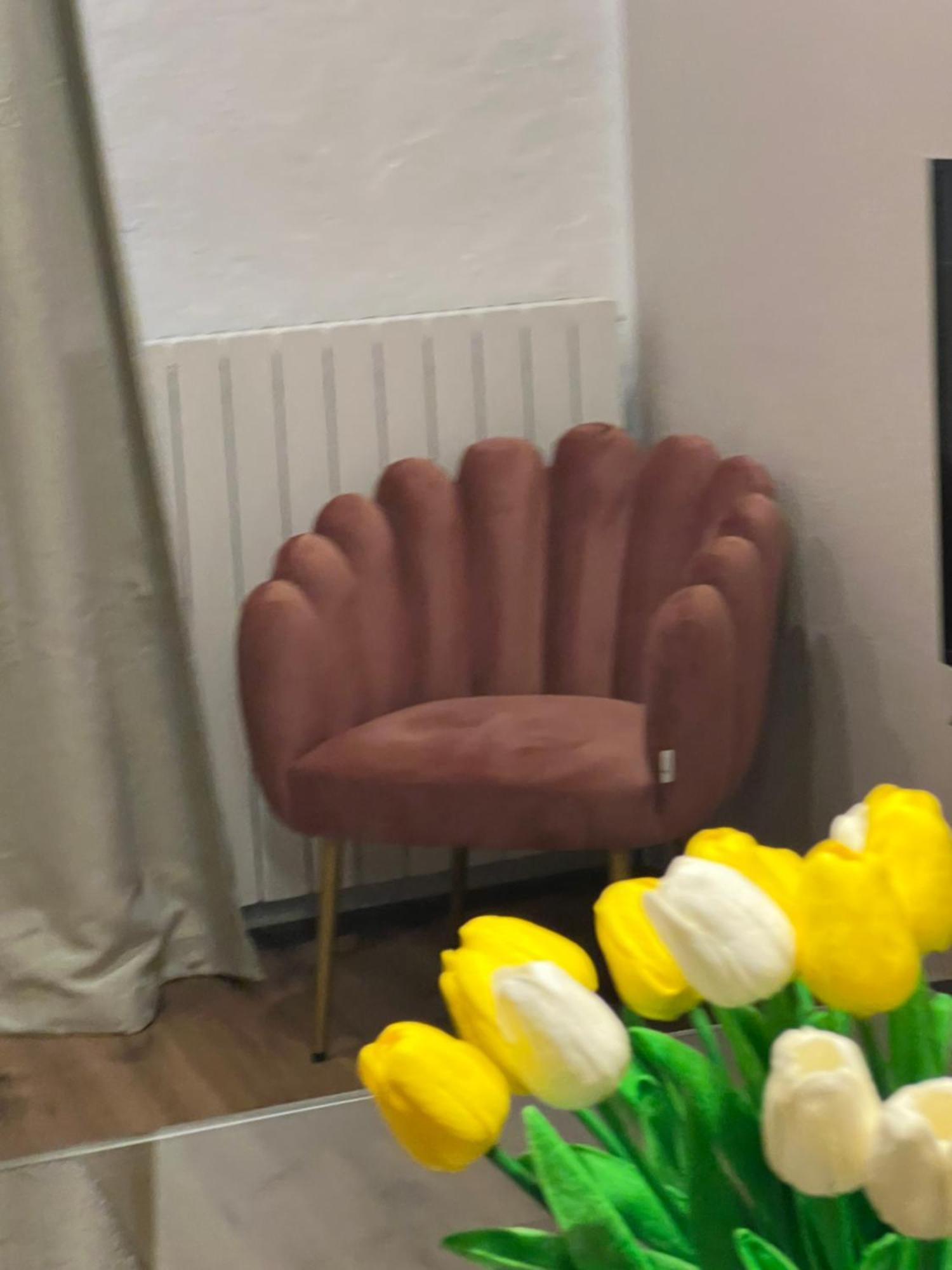 Residenza San Rocco "Suite Sul Lago" Orta San Giulio Dış mekan fotoğraf